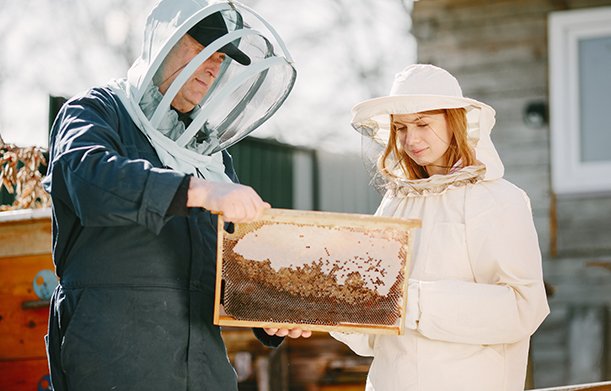 Bee Removal Services
